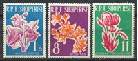 Изображение Албания 1961 г. SC# 595-7 • Цветы • MNH OG XF • полн. серия ( кат.- $20 )