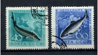 Bild von СССР 1959 г. Сол# 2331-2 • Промысловые рыбы • Used(ФГ) XF • полн. серия