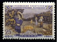 Image de СССР 1951 г. Сол# 1601 • Грузинская ССР • 25 коп. • сбор апельсинов • Used(ФГ) XF