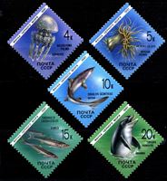 Изображение СССР 1991 г. Сол# 6279-83 • Фауна Черного моря • MNH OG XF • полн. серия