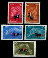 Изображение СССР 1968 г. • Сол# 3598-3602 • Коневодство и конный спорт • MNH OG XF • полн. серия