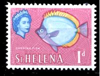 Изображение Святой Елены о-в 1961-65 гг. Gb# 176 • Елизавета II основной выпуск • 1d. • Рыба • MNH OG XF