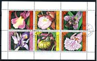 Изображение Болгария 1986 г. SC# 3145a • цветы (орхидеи) • Used(ФГ) VF • блок