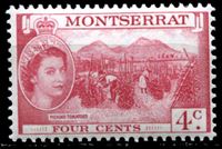 Изображение Монтсеррат 1953-62 гг. Gb# 140 • Елизавета II основной выпуск • 4c. • уборка томатов • MNH OG XF