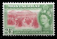 Изображение Монтсеррат 1953-62 гг. Gb# 145 • Елизавета II основной выпуск • 24c. • уборка томатов • MNH OG XF