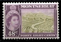Изображение Монтсеррат 1953-62 гг. Gb# 145a • Елизавета II основной выпуск • 48c. • плантация хлопка • MNH OG XF ( кат.- £15 )