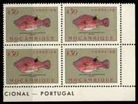 Изображение Мозамбик 1951 г. SC# 336 • 30 c. • Рыбы • Остроносый иглобрюх • MNH OG XF • кв.блок
